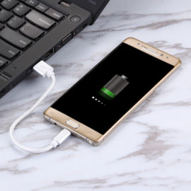USB C - Oplader en Data Kabel voor Samsung Galaxy  Serie  - 20cm -  Zilver