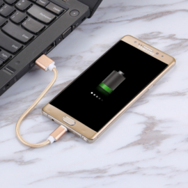 USB C - Oplader en Data Kabel voor Galaxy S9 - 15cm - Goud