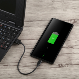 USB C Oplader en Data USB Kabel voor iPhone   Serie  22cm. Zwart