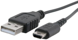 USB Oplader voor Nintendo DS Lite