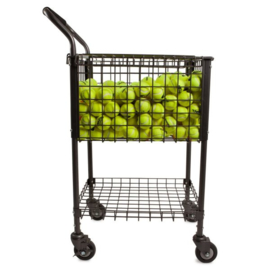 Brute™ 325 Teaching Cart