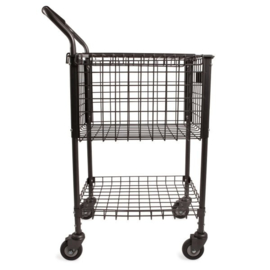 Brute™ 325 Teaching Cart