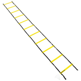 Speed Ladder