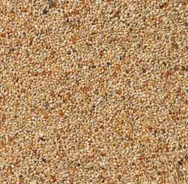 1716 DN- Basis exoten nr. 40 20kg