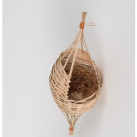7615	Nest inlands - tropisch