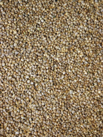 1553 Spinaziezaad 1kg
