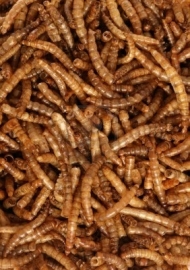 9812 Gedroogde meelwormen 150gram