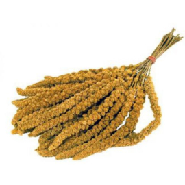 1559 Trosgierst Frans geel 1kg
