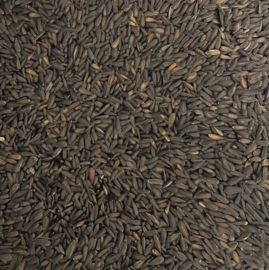 1221 Zwarte zonnepitten micro 1kg
