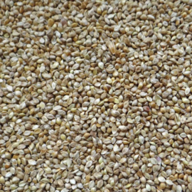 1407 Millet Japans 5kg