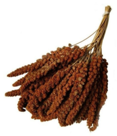 1558 Trosgierst Chinees rood 1kg