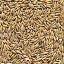 1219 Havens - Gepunte haver 20kg