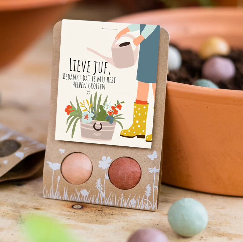 Weggeefcadeautje "Lieve Juf" met 2 bloembommetjes