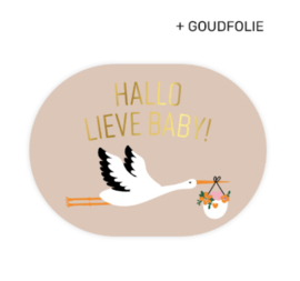 Sticker | hallo lieve baby (per 10)