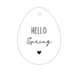 Paasei hanger | Hello Spring | diverse kleuren
