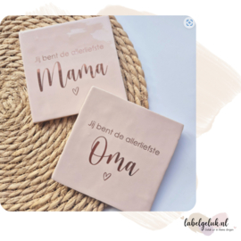 Tegeltje | jij bent de allerliefste MAMA/OMA