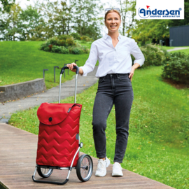Boodschappenwagen met grote wielen met metalen spaken, Royal Shopper Hilma rood