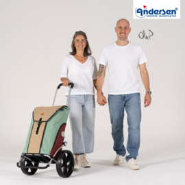 Boodschappenwagen met extra grote kogellager-wielen van 29 cm, Royal Shopper Oli.P 2.0 beige