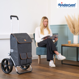 Boodschappenwagen met extra grote kogellager-wielen van 29 cm, Royal Shopper Ipek Ma zwart