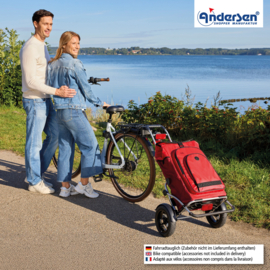 Boodschappentrolley met luchtbanden en spatborden, Royal Shopper Plus Hydro 3.0 rood