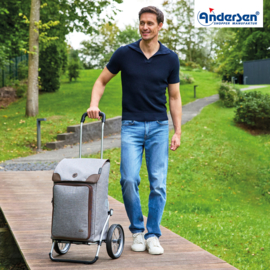 Boodschappenwagen met grote wielen met metalen spaken, Royal Shopper Holk grijs