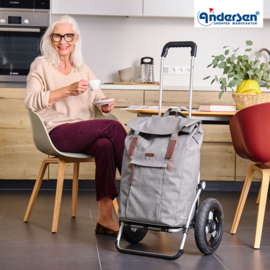 Boodschappenwagen met luchtbanden, Royal Shopper Basil City grijs