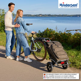Boodschappenwagen met luchtbanden en spatborden, Royal Shopper Plus Fado 3.0 olijf