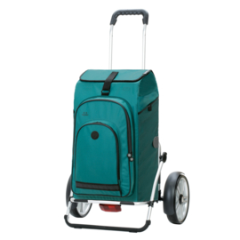 Boodschappenwagen met grote wielen en spatborden voor achter de fiets, Royal Shopper Plus Hydro 3.0 petrol