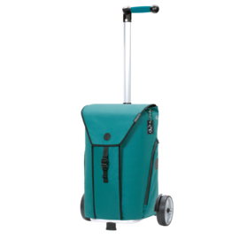 Boodschappenwagen voor achter de fiets, Unus Shopper Oli.P 3.0 Petrol