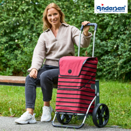 Boodschappenwagen met grote 3-spaken wielen, Royal Shopper Jelke bordeaux