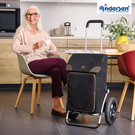 Boodschappenwagen met extra grote luchtbanden van 29 cm, Royal Shopper Holk zwart