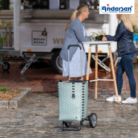 Lichte in hoogte verstelbare boodschappenwagen van aluminium, Alu Star Shopper Silja groen