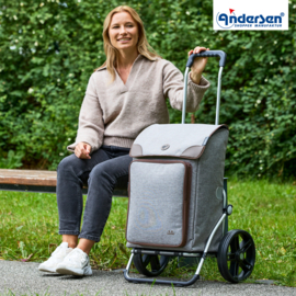 Boodschappenwagen met grote 3-spaken wielen, Royal Shopper Holk grijs