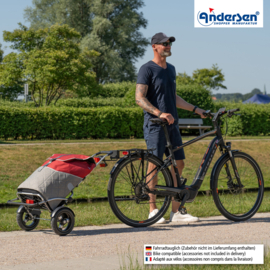 Boodschappenwagen met luchtbanden en spatborden, Royal Shopper Plus Lasse rood