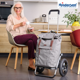 Boodschappenwagen met extra grote luchtbanden van 29 cm, Royal Shopper Basil City grijs