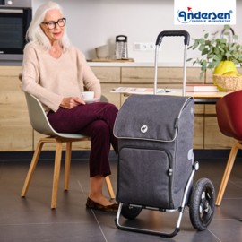 Boodschappenwagen met extra grote luchtbanden van 29 cm, Royal Shopper Ipek Maxi antraciet