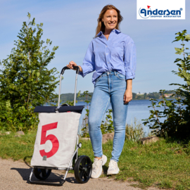 Boodschappenwagen met grote 3-spaken wielen, Royal Shopper 360° Steg 5