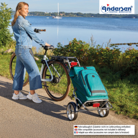 Boodschappenwagen met grote wielen en spatborden voor achter de fiets, Royal Shopper Plus Hydro 3.0 petrol