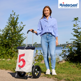 Boodschappenwagen met extra grote luchtbanden van 29 cm, Royal Shopper 360° Steg 5