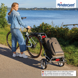 Boodschappenwagen met grote wielen en spatborden voor achter de fiets, Royal Shopper Plus Hydro 3.0 olijf