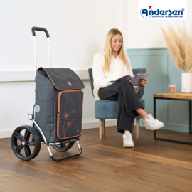 Boodschappenwagen met extra grote kogellager-wielen van 29 cm, Royal Shopper Erbo zwart