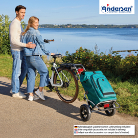 Boodschappentrolley met luchtbanden en spatborden, Royal Shopper Plus Hydro 3.0 petrol