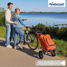 Boodschappentrolley met luchtbanden en spatborden, Royal Shopper Plus Hydro 3.0 oranje