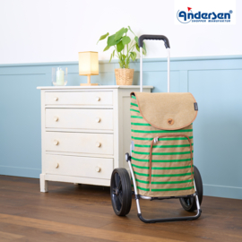 Boodschappenwagen met extra grote kogellager-wielen van 29 cm, Royal Shopper Eske groen
