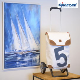 Lichte in hoogte verstelbare boodschappenwagen van aluminium, Alu Star Shopper 360° Lee 5
