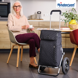 Boodschappenwagen met extra grote luchtbanden van 29 cm, Royal Shopper Lissa zwart