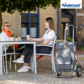 Boodschappenwagen met grote wielen met metalen spaken, Royal Shopper Signe zwart