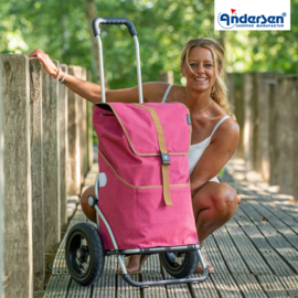 Boodschappenwagen met luchtbanden, Royal Shopper Auke Rubin