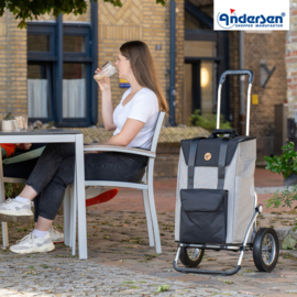 Boodschappenwagen met grote wielen met metalen spaken, Royal Shopper Senta 2.0 grijs