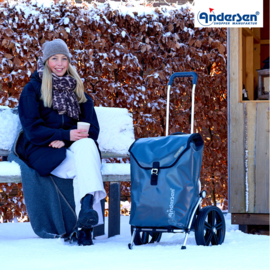 Boodschappenwagen met extra grote kogellager-wielen van 29 cm, Royal Shopper Ortlieb antraciet